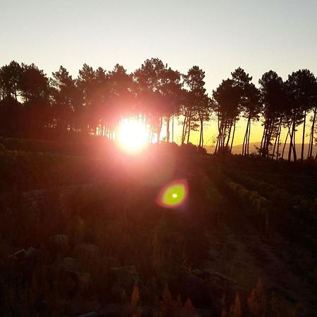 Domaine Des Hauts De Vernon Vernon  Exteriör bild