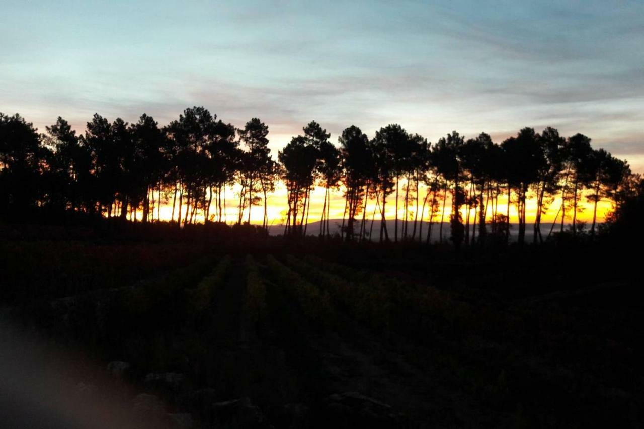 Domaine Des Hauts De Vernon Vernon  Exteriör bild